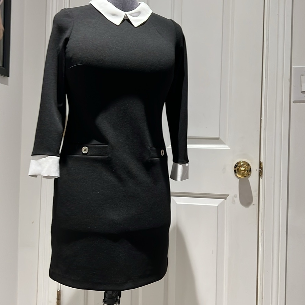 Chic Black Tommy Hilfiger Dress with White Collar - Picture 6 of 6